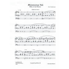 Blommornas vals / Waltz of the Flowers /  Peter Tschaikowsky